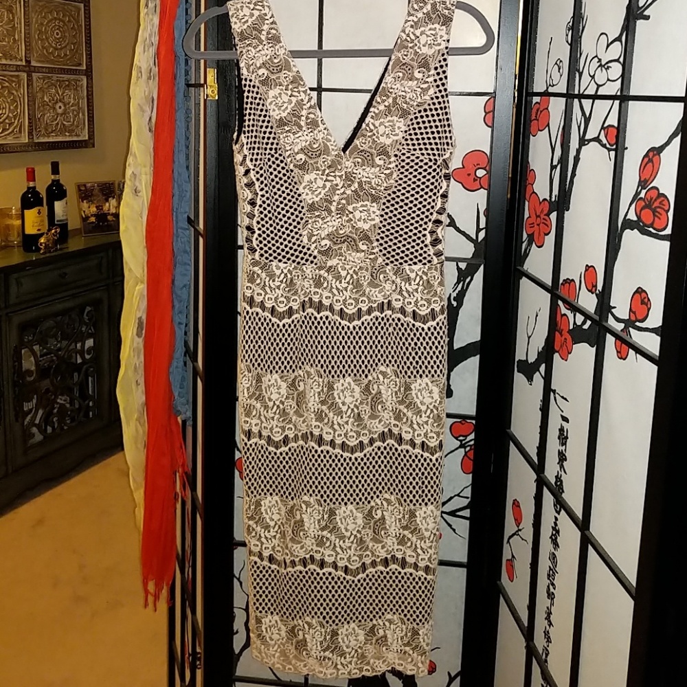 Erin Fetherton Blush Lace Dress